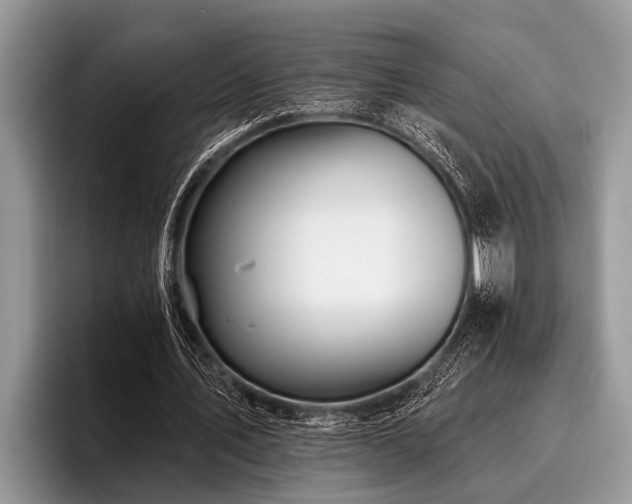 X0000096990579200802081430