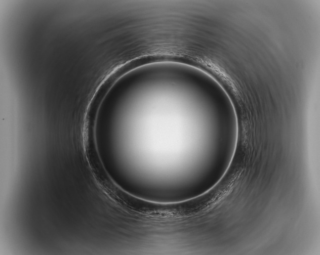 X0000096990580200802081430
