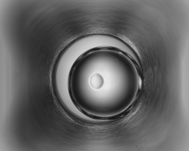 X0000096990581200802081430