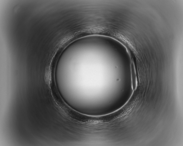 X0000096990582200802081430