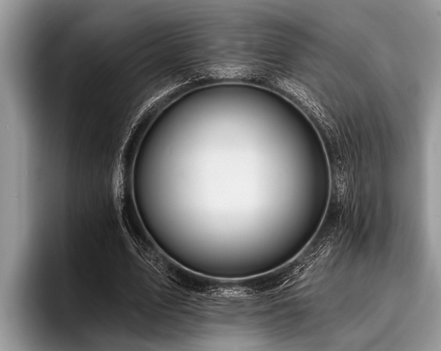 X0000096990583200802081430