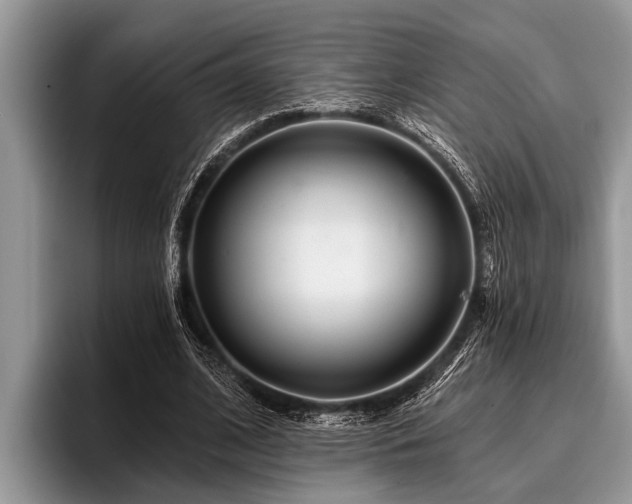 X0000096990584200802081429