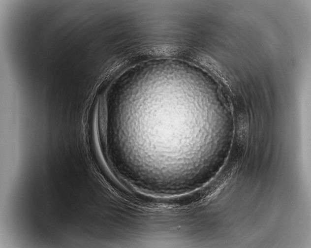 X0000096990585200802081429