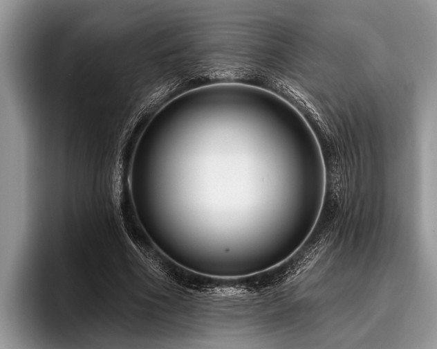 X0000096990586200802081429