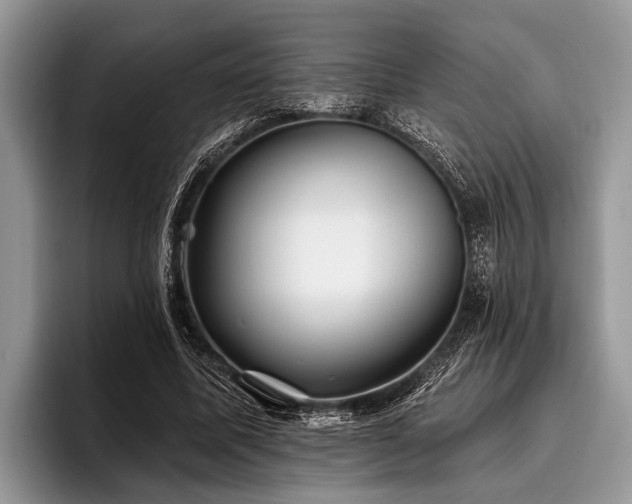 X0000096990587200802081429