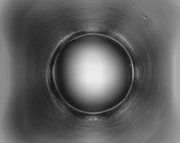 X0000096990588200802081429