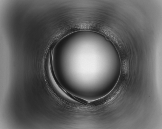 X0000096990589200802081429