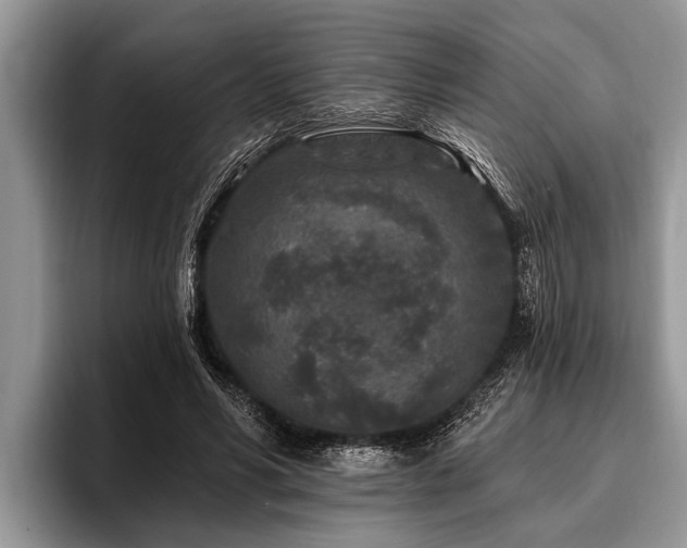 X0000096990590200802081429
