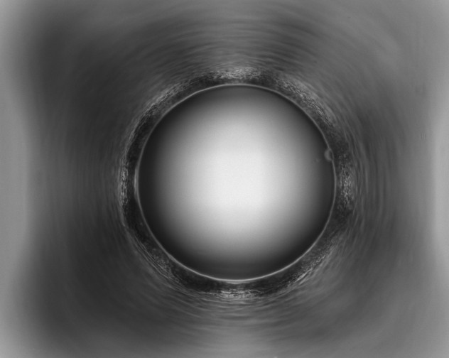 X0000096990591200802081429