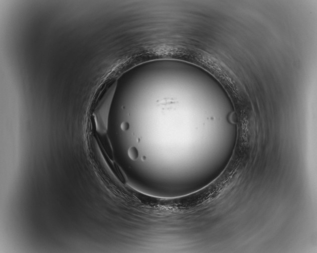 X0000096990592200802081429