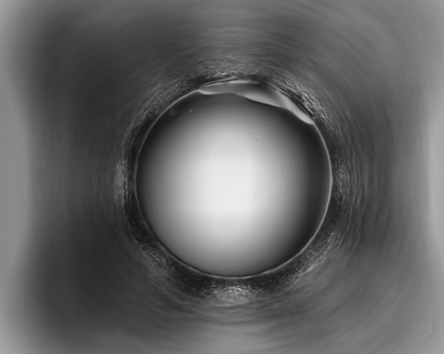 X0000096990594200802081429