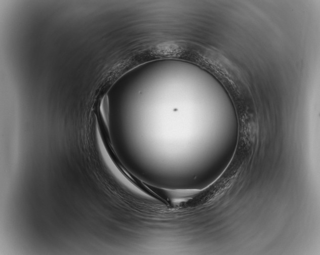 X0000096990597200802081429