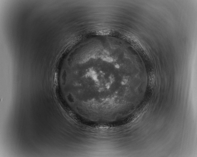 X0000096990598200802081429