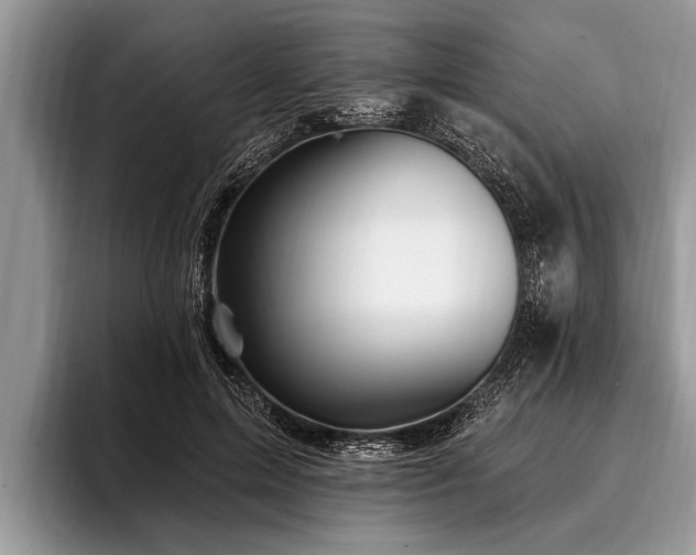 X0000096990599200802081429