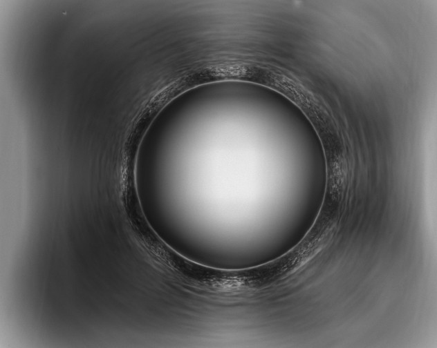 X0000096990600200802081429