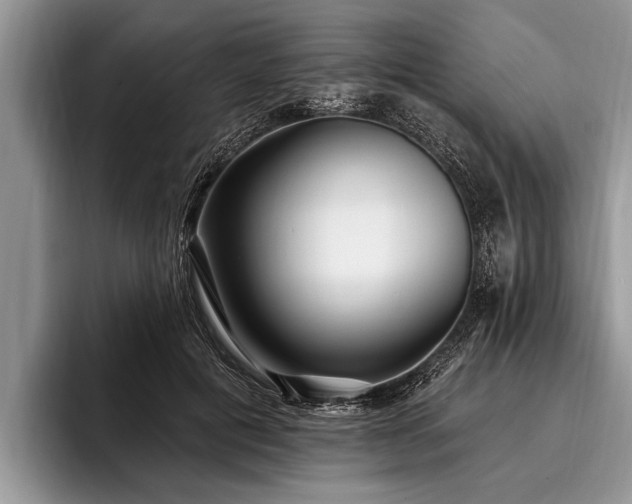X0000096990601200802081429