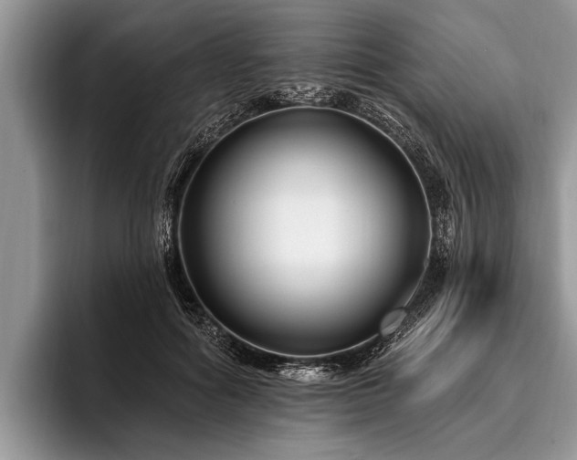 X0000096990602200802081429