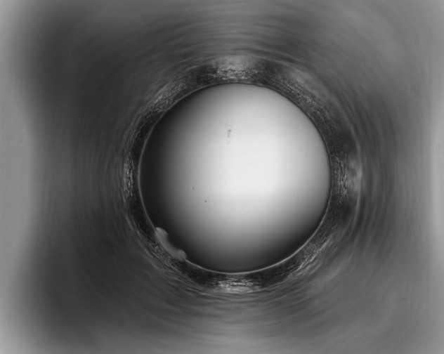 X0000096990603200802081429