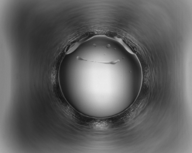 X0000096990604200802081429