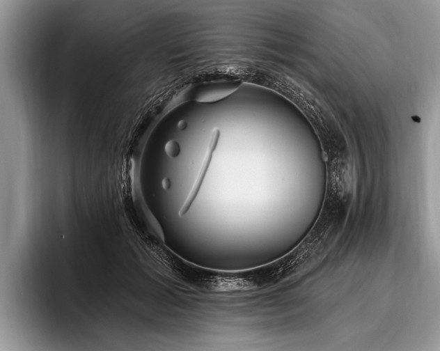 X0000096990605200802081429