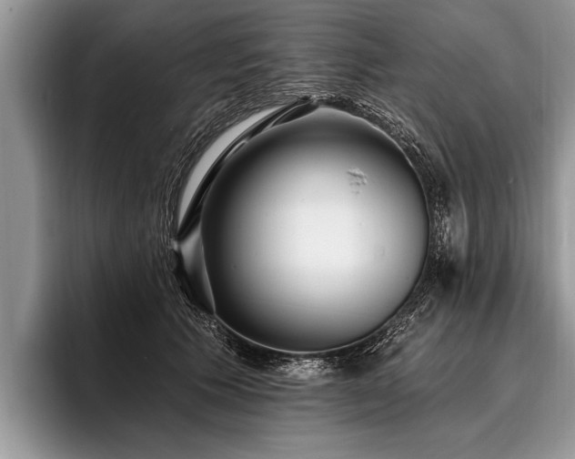 X0000096990609200802081429