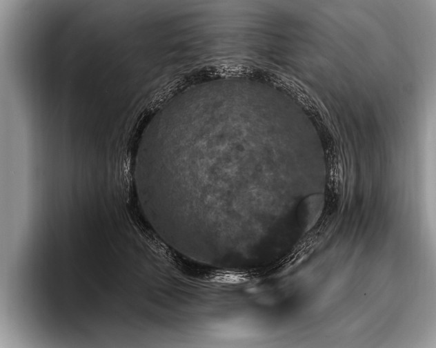X0000096990610200802081429