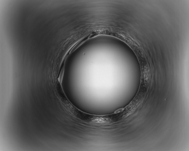 X0000096990611200802081429