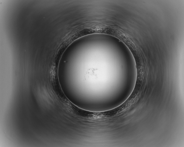 X0000096990612200802081429