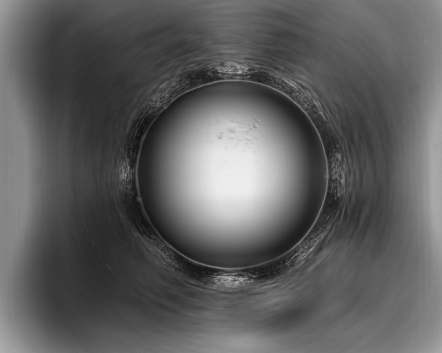 X0000096990614200802081429