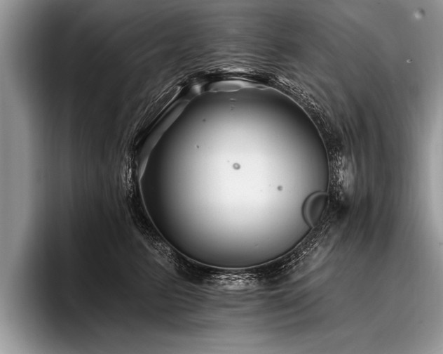 X0000096990615200802081429