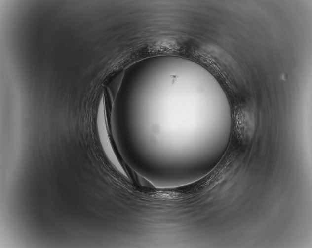 X0000096990617200802081429