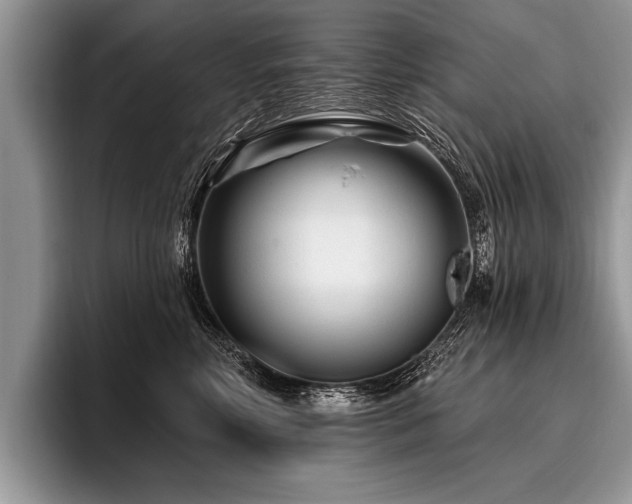 X0000096990618200802081429