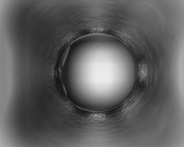 X0000096990619200802081429