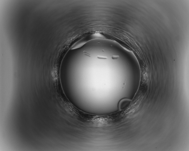 X0000096990620200802081429