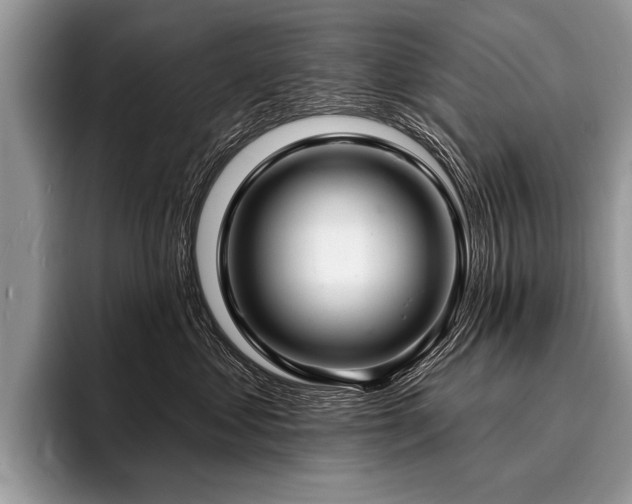 X0000096990621200802081429