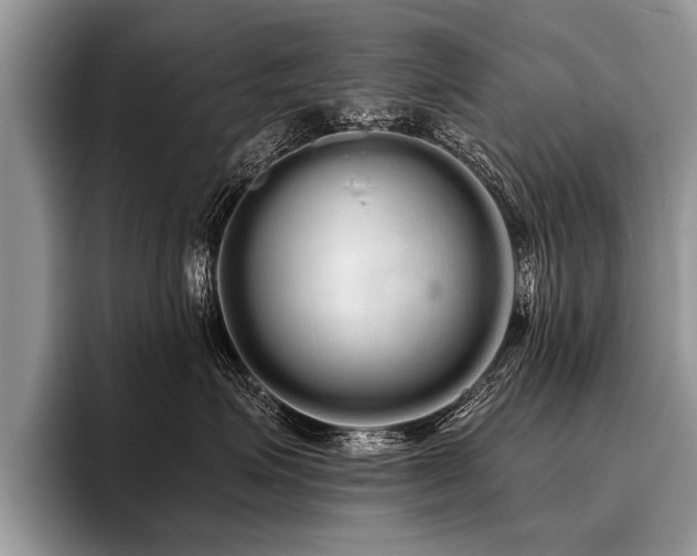 X0000096990623200802081429