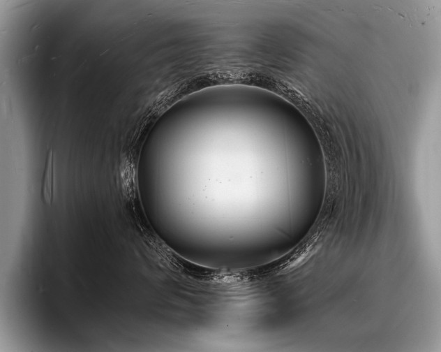 X0000096990624200802081429
