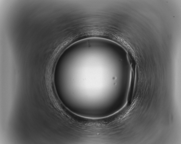 X0000096990625200802081428