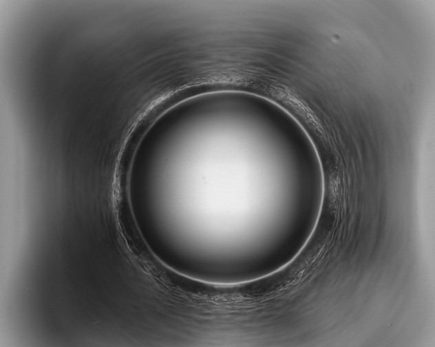 X0000096990628200802081428