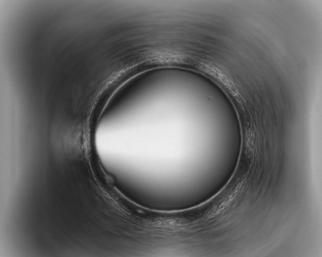X0000096990629200802081428