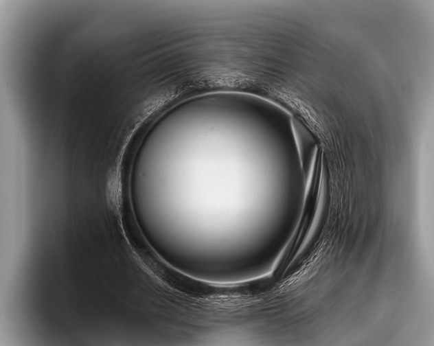 X0000096990630200802081428