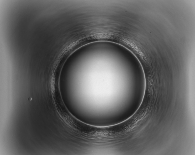 X0000096990631200802081428