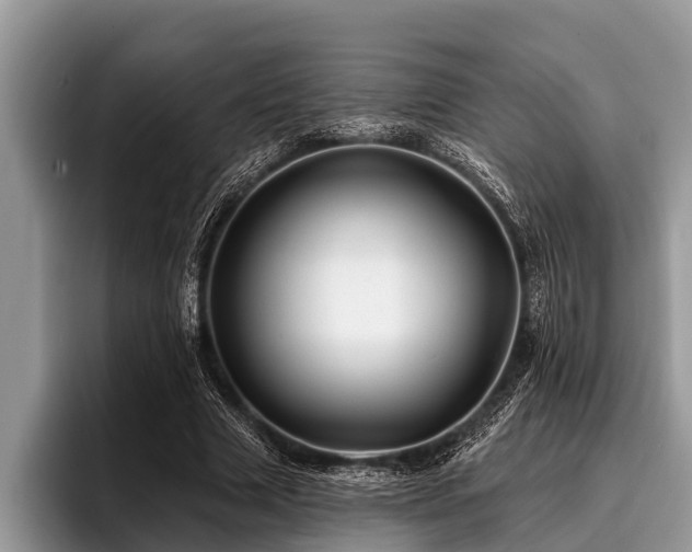 X0000096990633200802081428