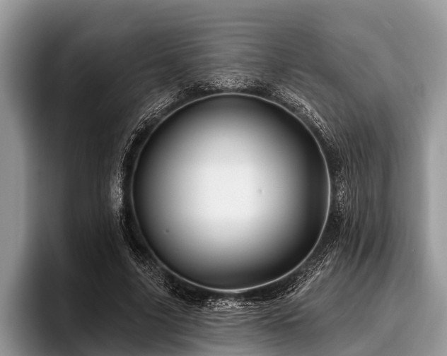 X0000096990635200802081428