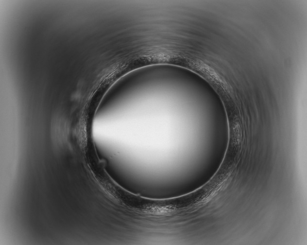 X0000096990638200802081429
