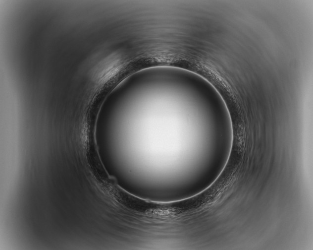 X0000096990639200802081429