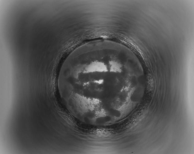 X0000096990641200802081429
