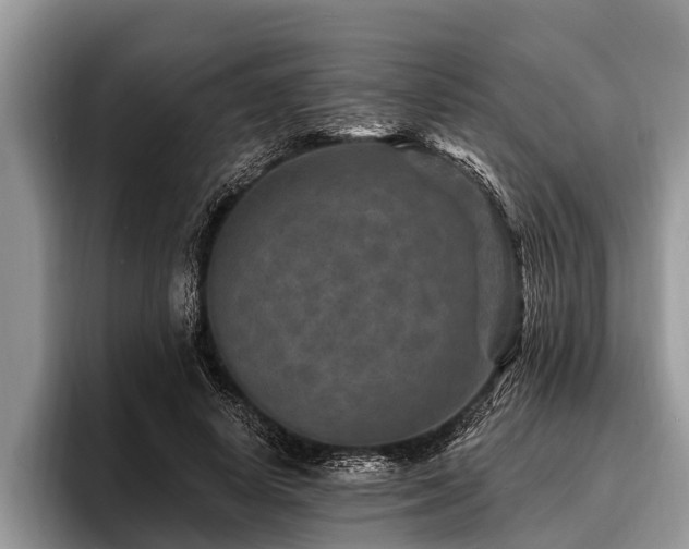 X0000096990642200802081429