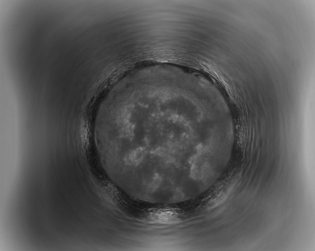 X0000096990643200802081429