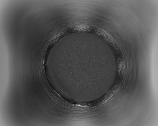 X0000096990644200802081429